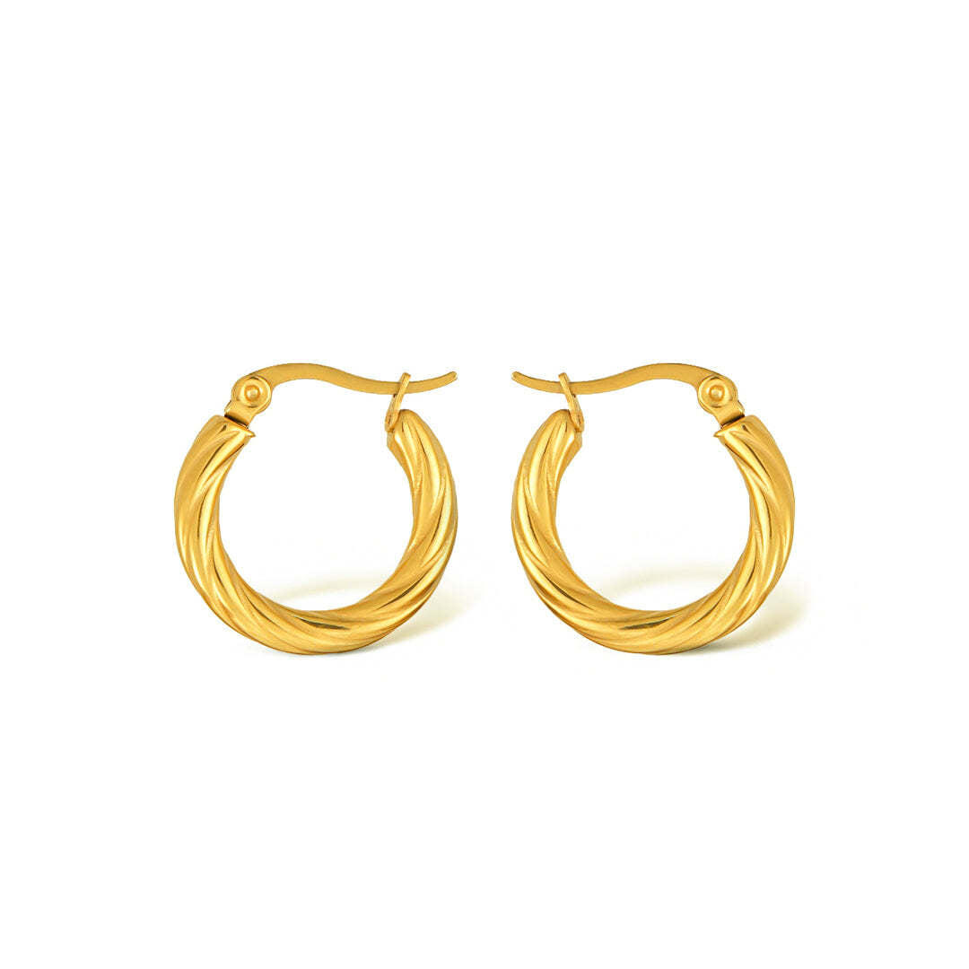 Cleo Twist Hoops Earrings  For Women